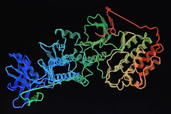 Structuur van de molecule eiwit. Rechtenvrije Stockafbeeldingen
