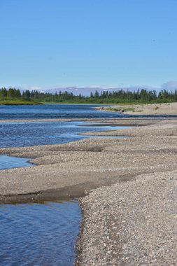 Kutup Urallar Sob nehirde. 