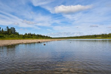 Kutup Urallar Sob nehirde. 