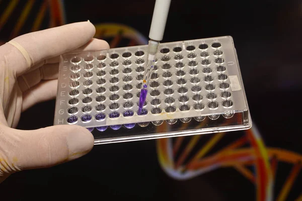 En el laboratorio de genética médica . —  Fotos de Stock