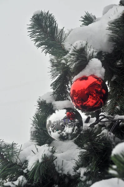 Piłka w śniegu na choinkę. — Zdjęcie stockowe