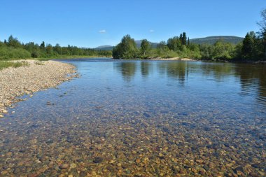 Virgin Komi ormanlar. 