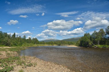 Virgin Komi ormanlar. 