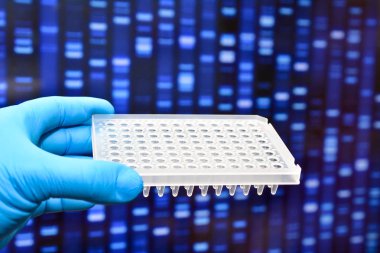 Moleküler genetik ve biyoteknoloji.