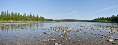 Polar Urals Taiga Nehri yaz Panoraması. 