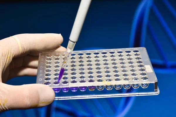 Moleküler genetik ve biyoteknoloji.