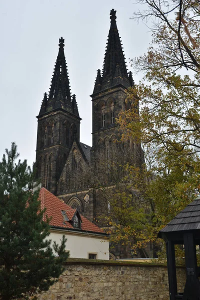Baziliky svatých Petra a Pavla v Vyšehrad, Praha. — Stock fotografie