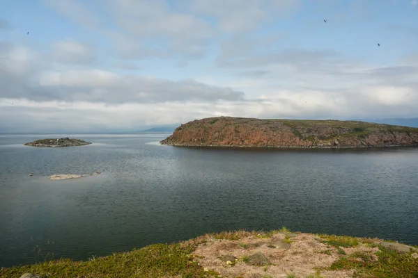 Insel auf dem See, Putorana Plateau. — Stockfoto