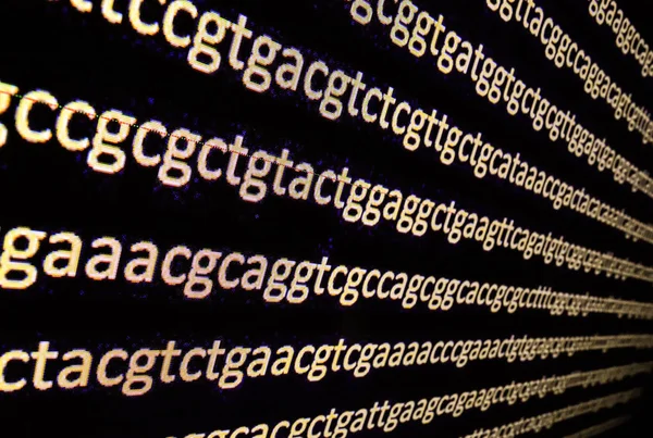 Sequenciando o genoma . — Fotografia de Stock