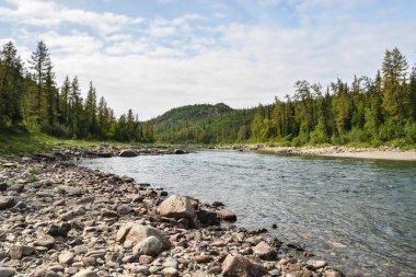 Yaz aylarında Kuzey Tayga Nehri. 