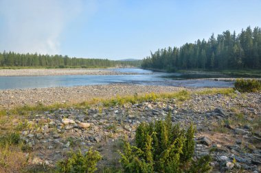 Yaz aylarında Kuzey Tayga Nehri. 