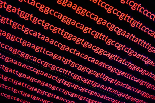 Sequenciando o genoma . — Fotografia de Stock