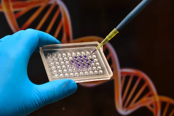 Ensaio de ADN num laboratório científico . — Fotografia de Stock