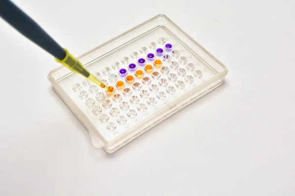 In het Biomedische Laboratorium. — Stockfoto