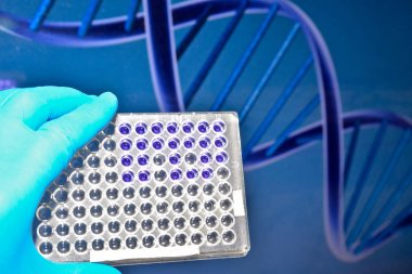 DNA testi. 