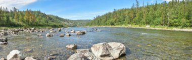 Polar Urallarda Tayga Nehri Panoraması.