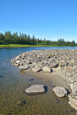 Yaz nehri manzarası. 