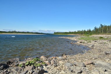 Yaz nehri manzarası. 