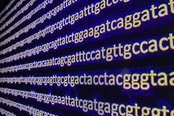 Genome sequencing. — Stock Photo, Image