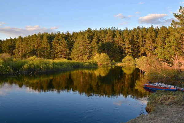 Waldfluss im russischen Nationalpark ist Frühling. — Stockfoto