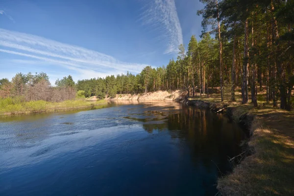 Lente aan de rivier van de bos. — Stockfoto