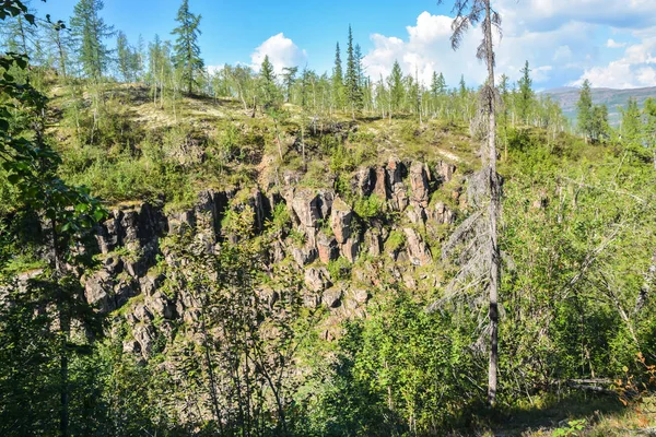 Mountain taiga on the Putorana plateau. — Stock Photo, Image