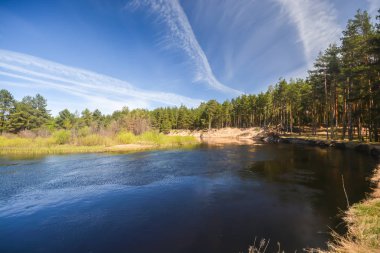 Orman Nehri üzerinde bahar. 