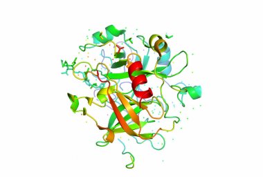 bir protein molekülü 3 boyutlu model.