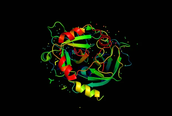 3D model of a protein molecule.