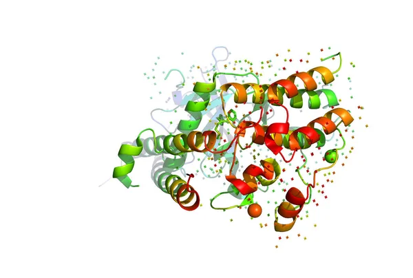 3D-model van een molecuul met eiwit. — Stockfoto