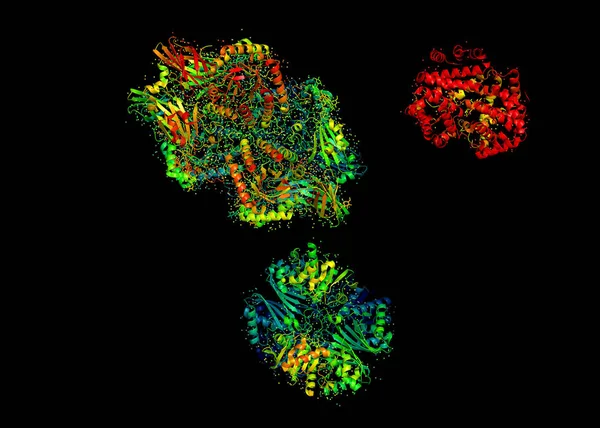 Bir protein molekülü 3 boyutlu model. — Stok fotoğraf