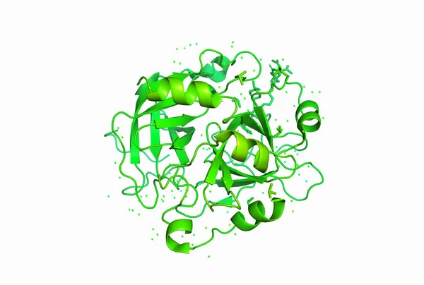 3D-model van een molecuul met eiwit. Stockfoto