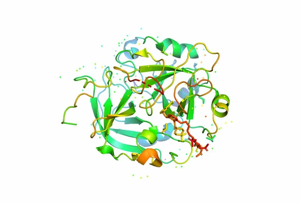 3D-model van een molecuul met eiwit. Stockafbeelding