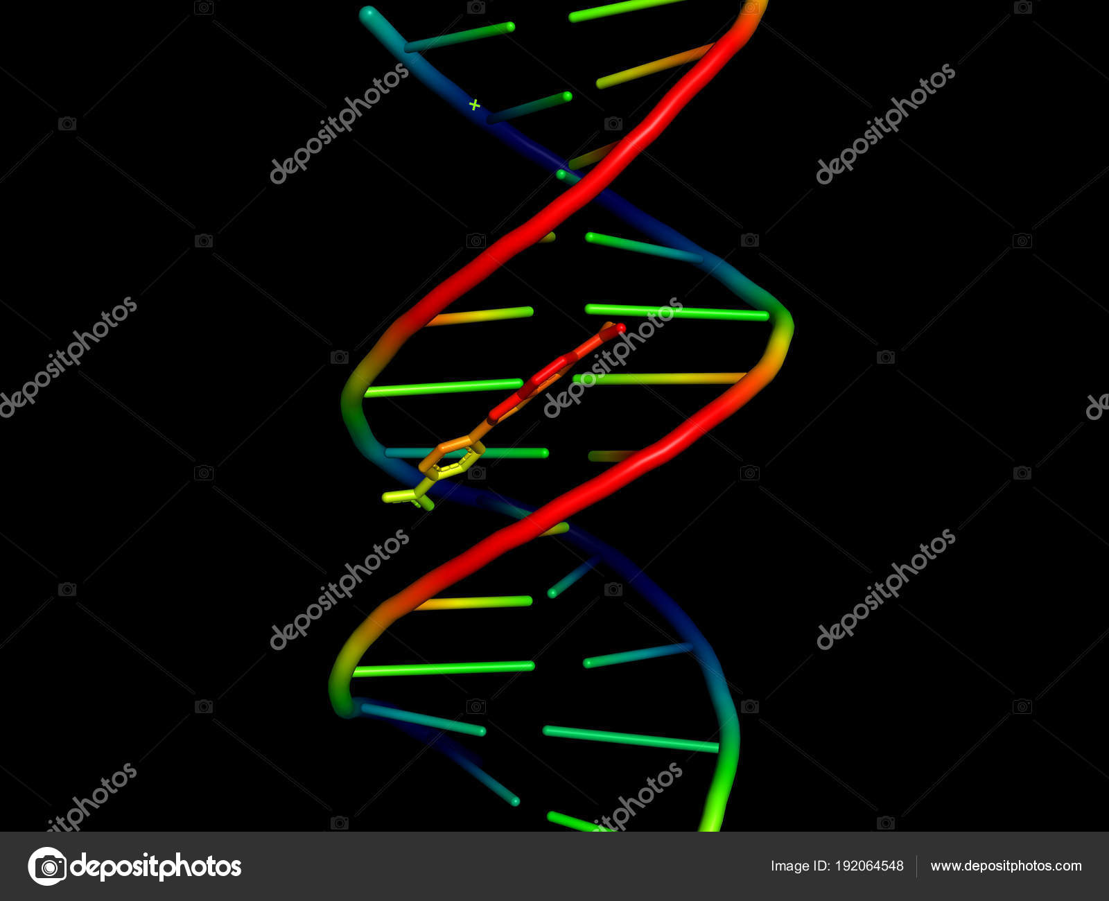 3d Model Of Dna Stock Photo By C Sergunt