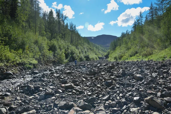 Mountain taiga on the Putorana plateau. — Stock Photo, Image