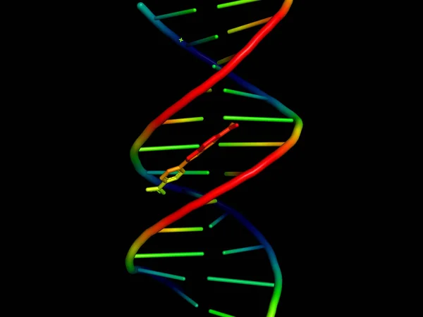 3D модель ДНК . — стоковое фото