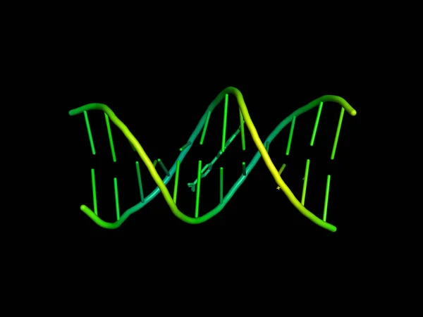 3D модель ДНК . — стоковое фото