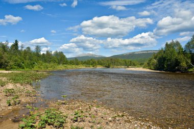 Virgin Komi ormanlar. 