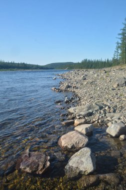Yazın Kutup Uralları 'nda Tayga nehri.