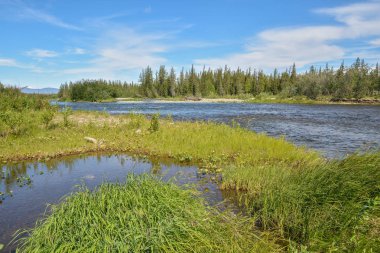 Kuzey nehrinde çakıl taşı. 