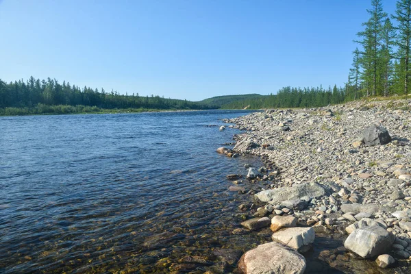 Rivière Taiga en été dans l'Oural polaire . — Photo