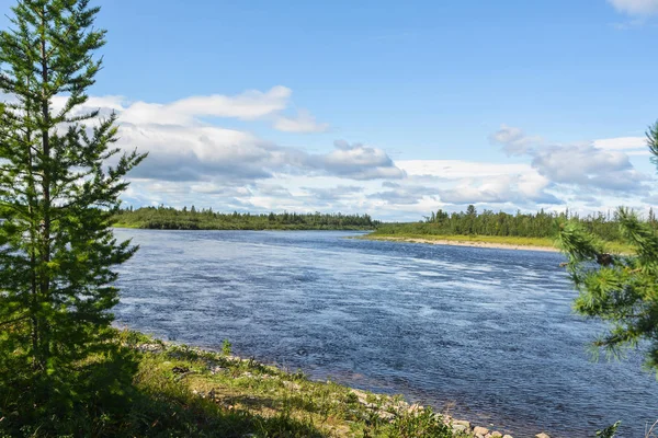 Taiga rivier in de zomer in de Polaire Oeral. — Stockfoto