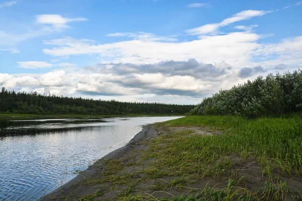 Taiga river in the summer in the Polar Urals. — Stock Photo, Image