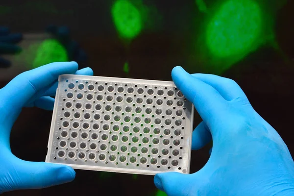 Investigación en laboratorios biológicos . — Foto de Stock