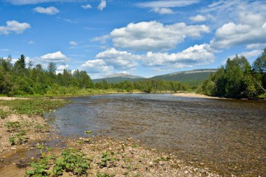 Virgin Komi ormanlar. 