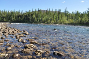 Hızlı Nehri üzerinde Putorana Yaylası. 