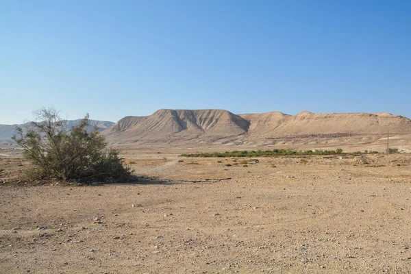 Judejská poušť na východě Izraele. — Stock fotografie