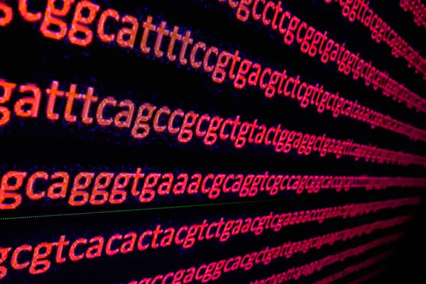 Het genoom sequencing. — Stockfoto