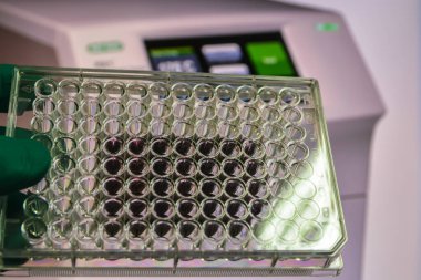 Biyolojide modern bilimsel araştırma yöntemleri. 