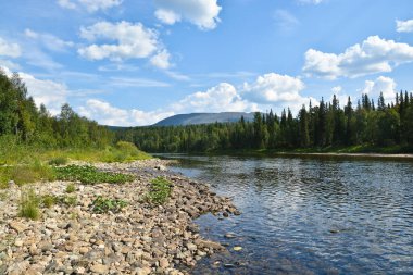 Virgin Komi ormanlar, nehrin Shchugor. 